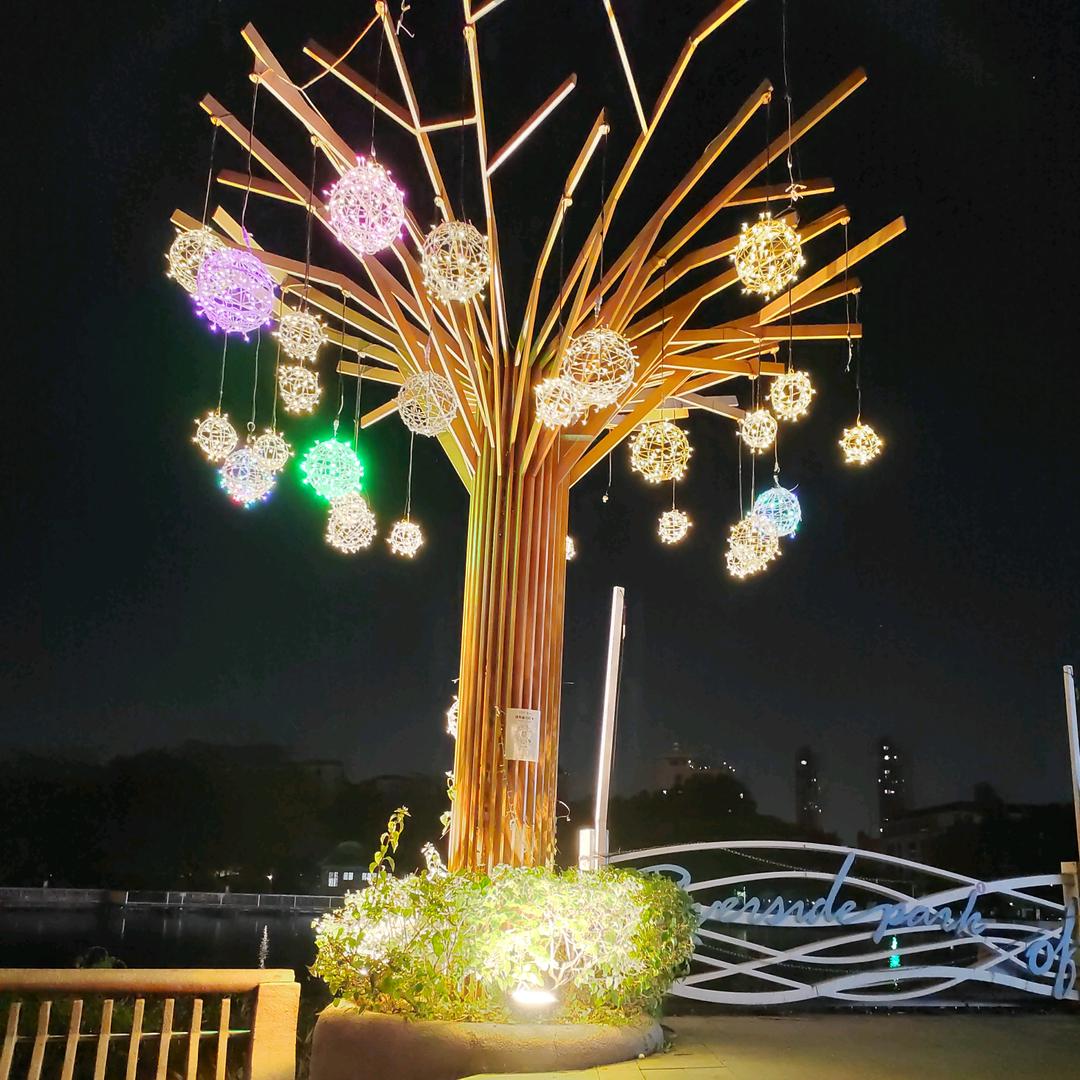 我不是淑女🙉🙉