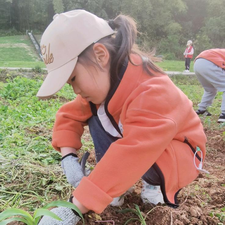 成都鑫杨氏塑胶有限公司