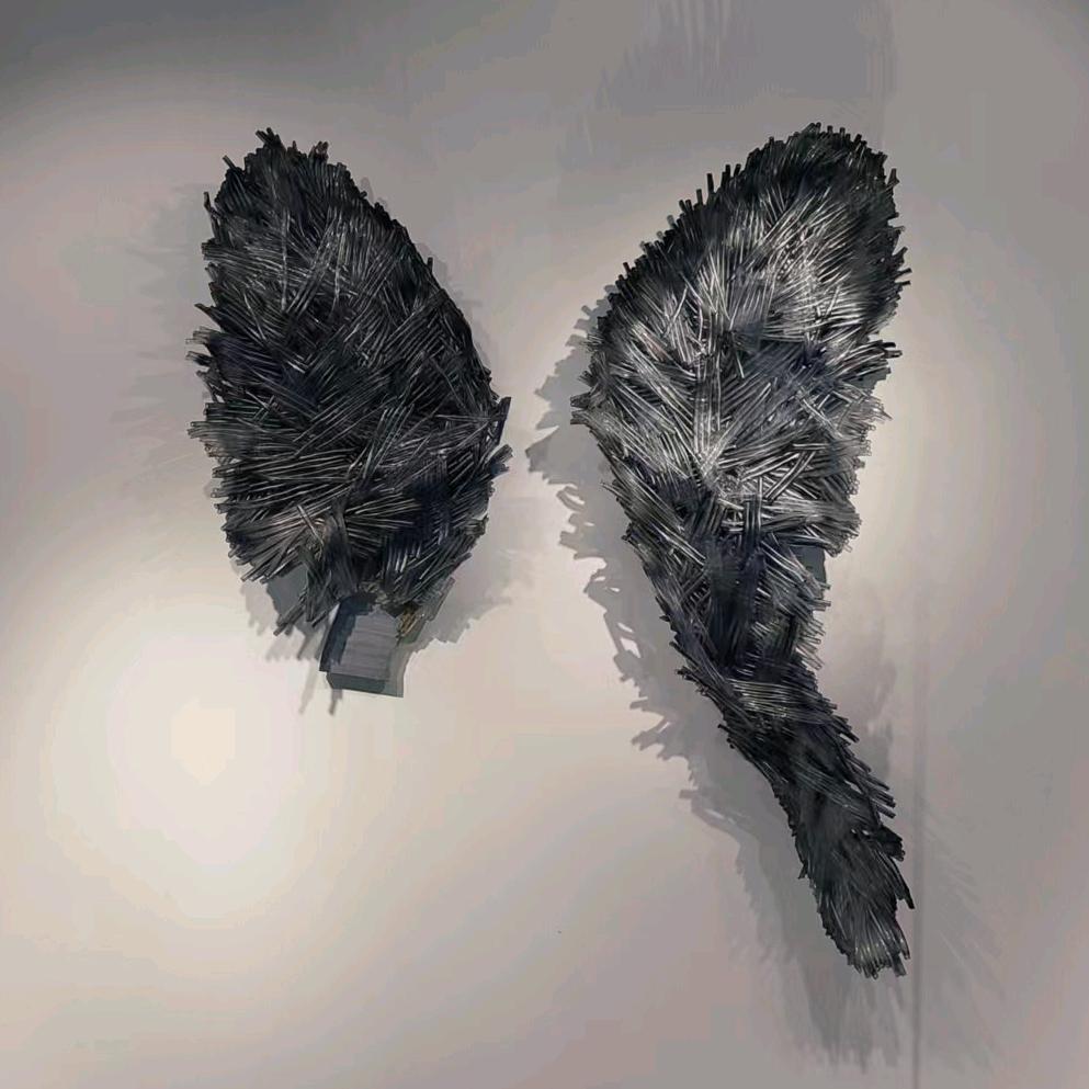 小胖说综艺