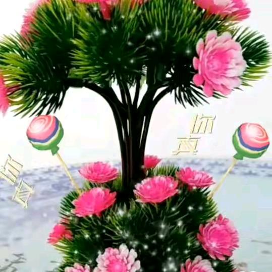 今世有缘，晚上九点开播