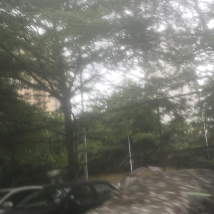 梧桐苑688
