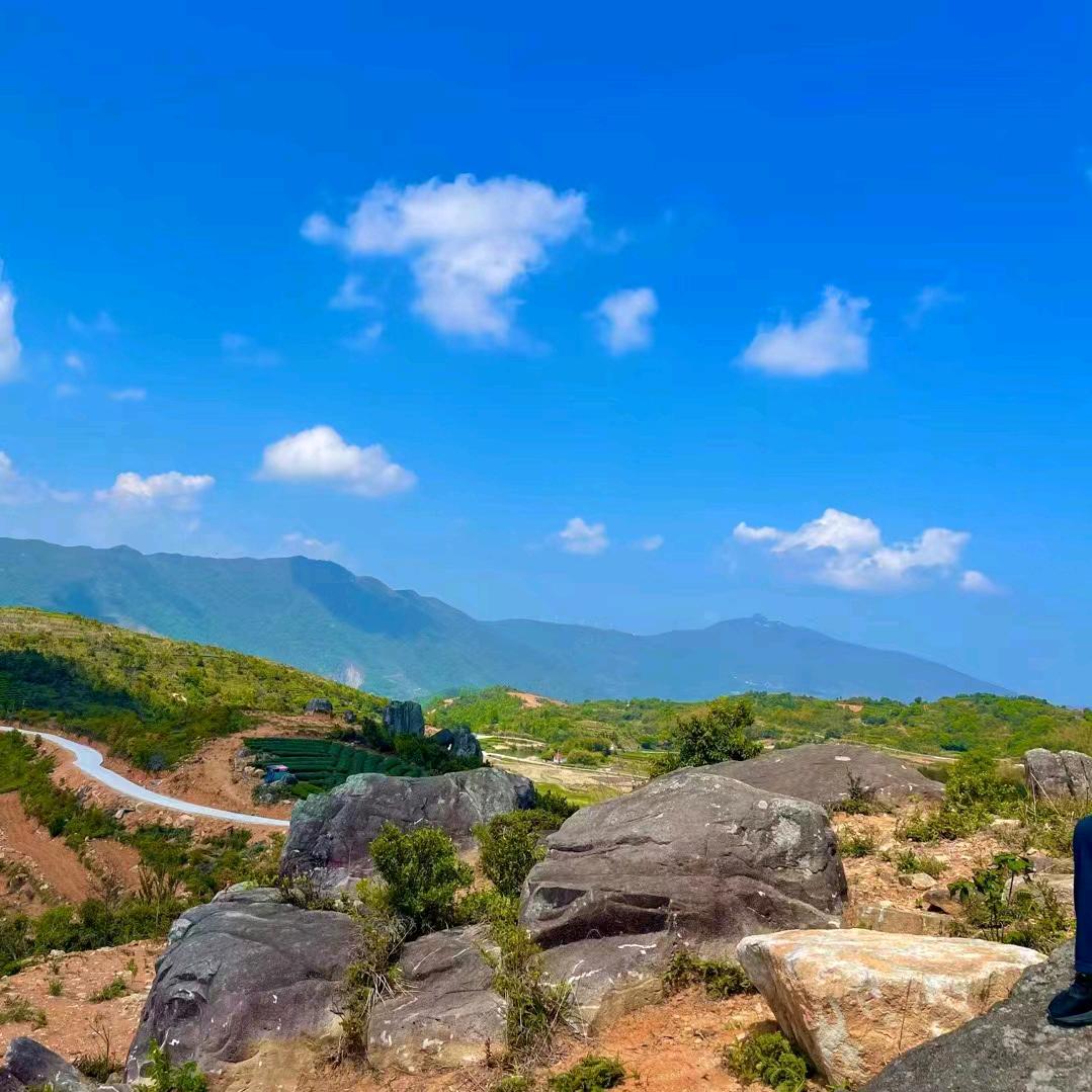 海岛王