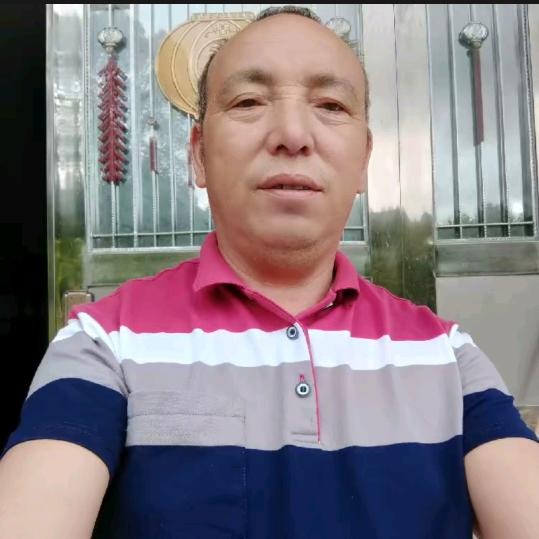 会飞的鱼