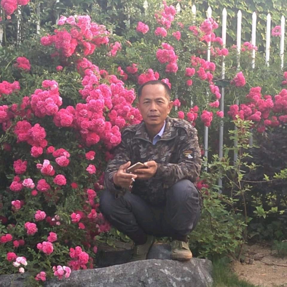 丨卢艳涛挑鸡🐔团队