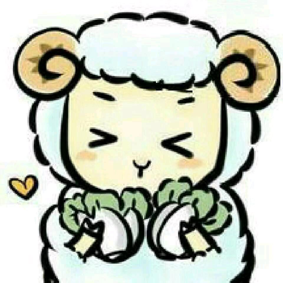 杨小羊