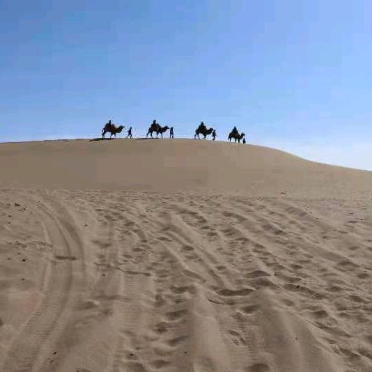 窨子沟驻村工作队