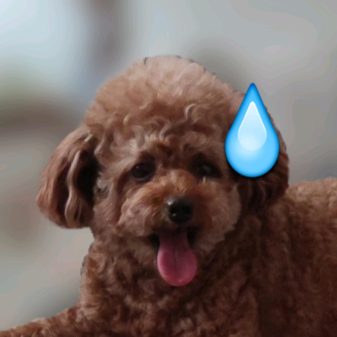 嘉爷（起风了版🍊🐟