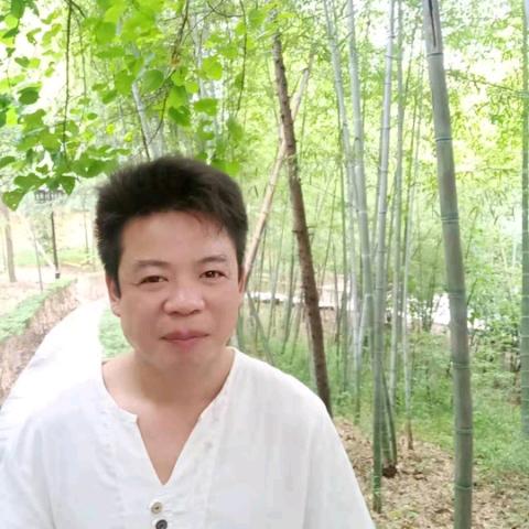 骆，树叶飘落，风的无情