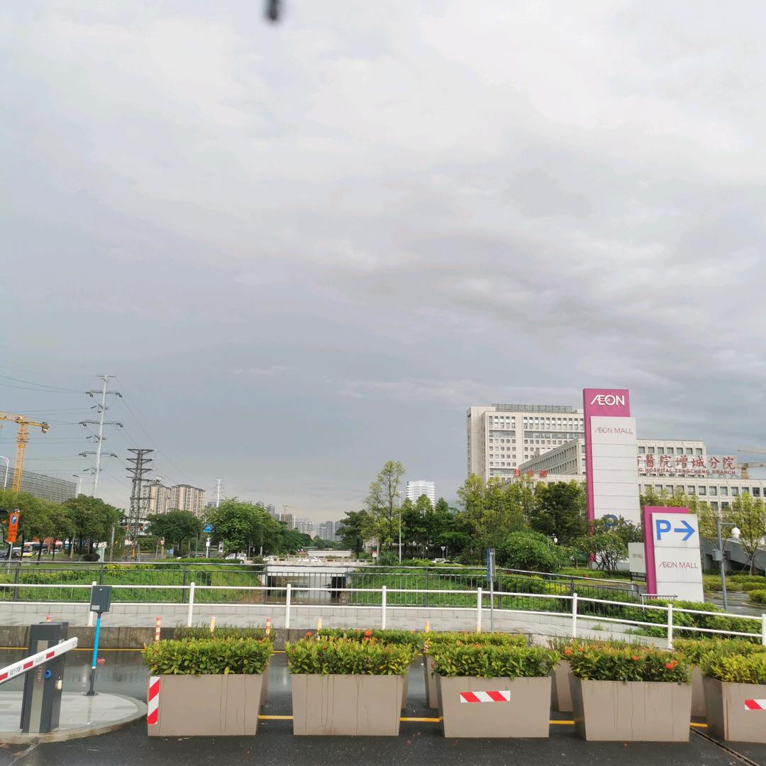 颂洋