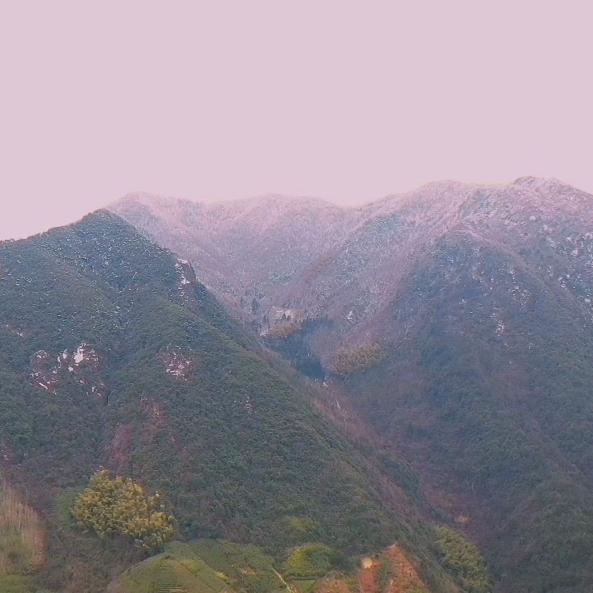 生态心原