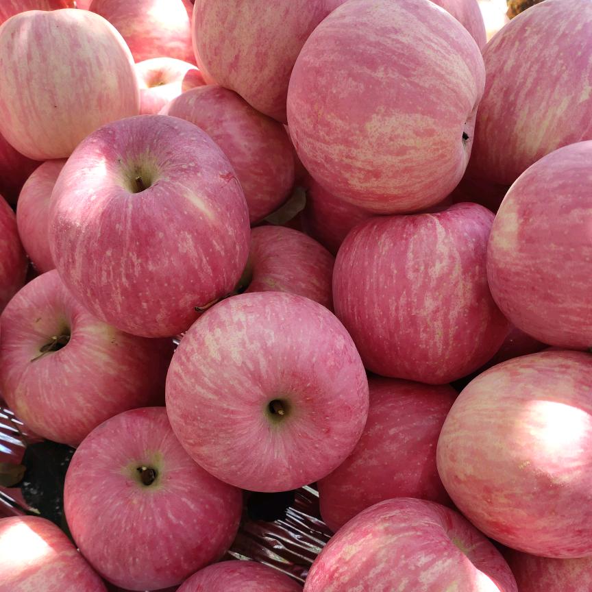 🕊ღ᭄ꦿ꯭淡然ঞ若水ꦿ᭄💞🕊