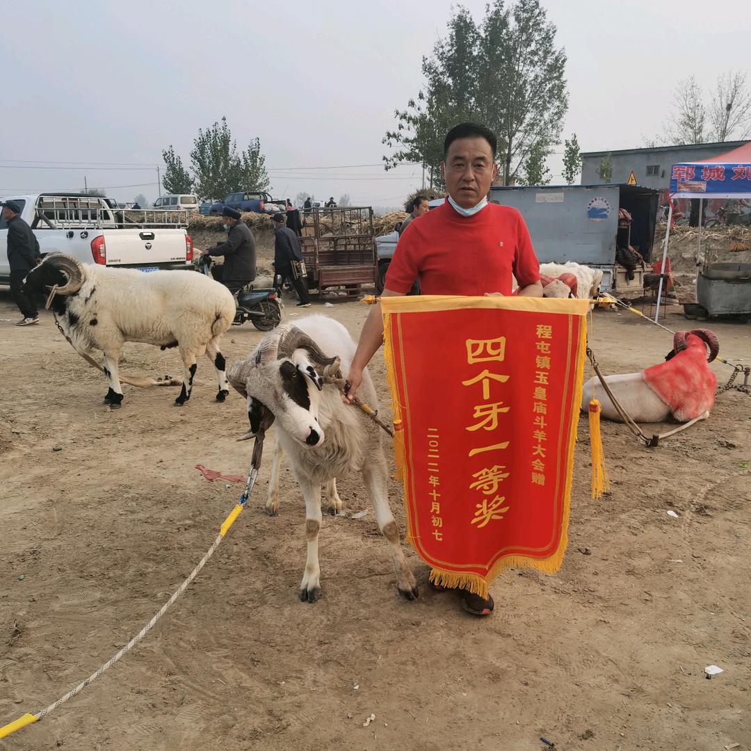 玩者无限