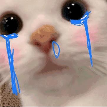 珍珠奶鱼半糖加冰