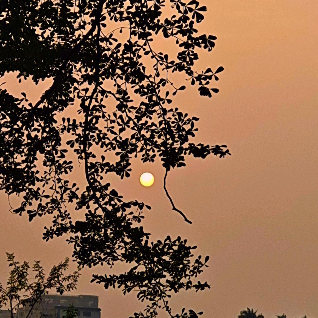 爱洗澡的鳄鱼小饼