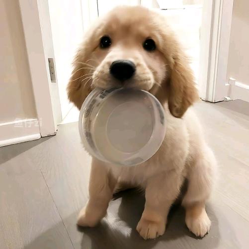 开心 快乐每一天