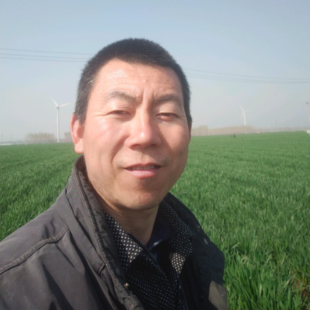 奎哥1
