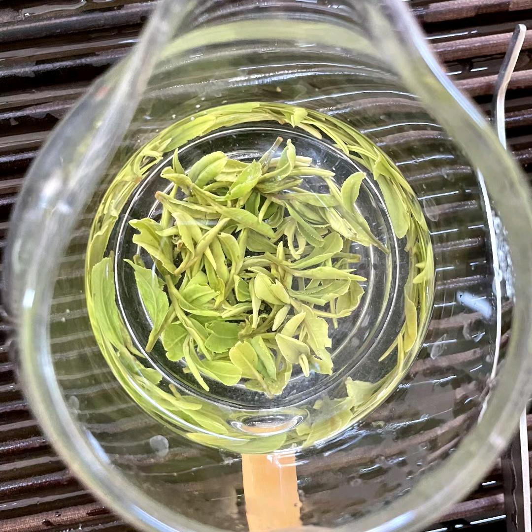 盛荣铭茶