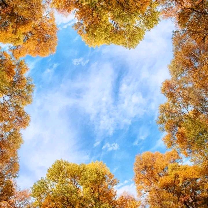 ✨✨星星亮了✨✨