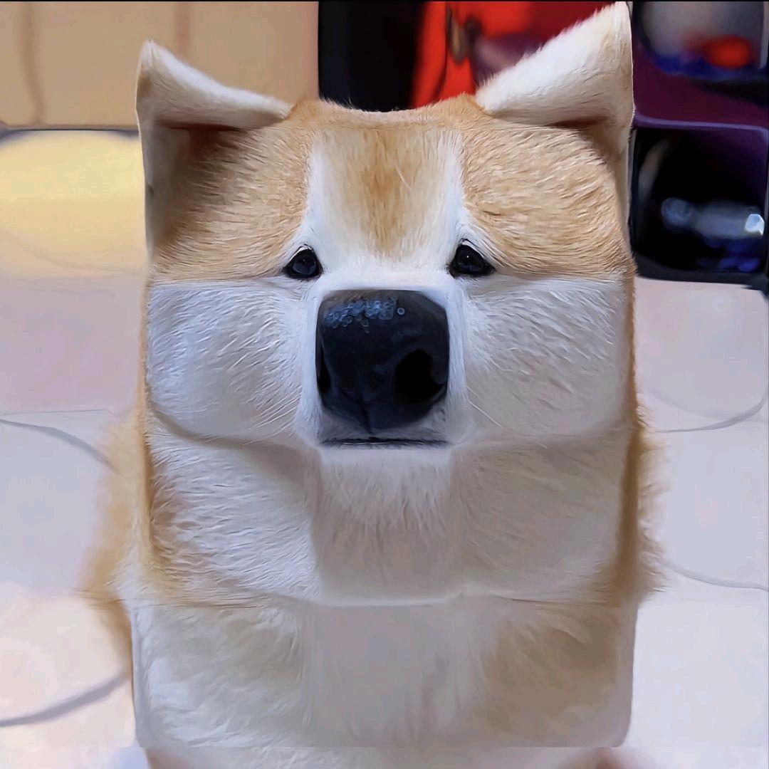 这个世界不会好