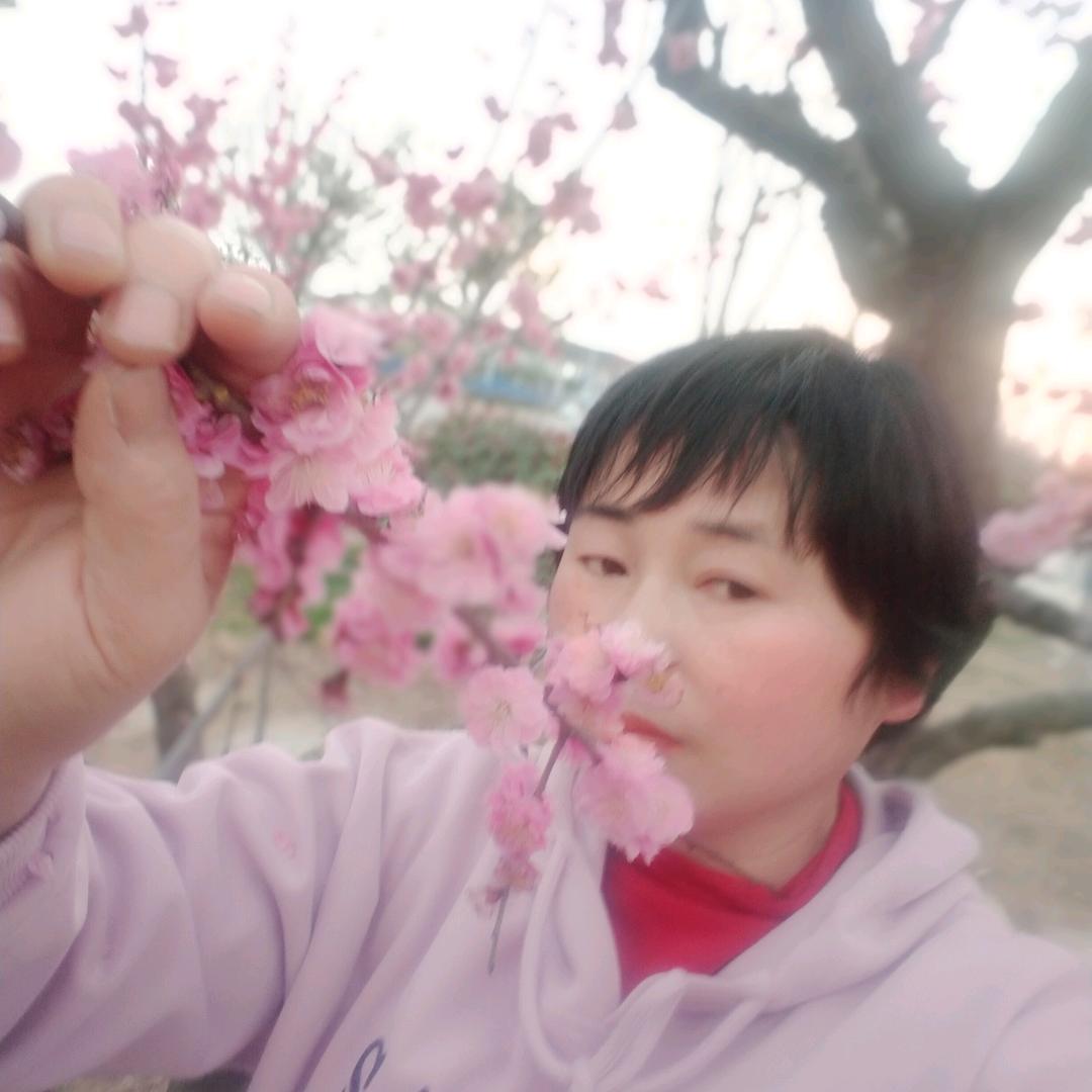 江上清风游