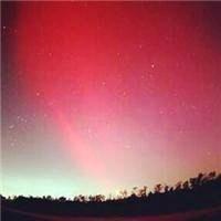 Mr shen(顺势而为)