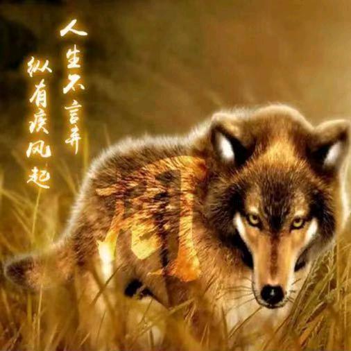 @大～飞～哥