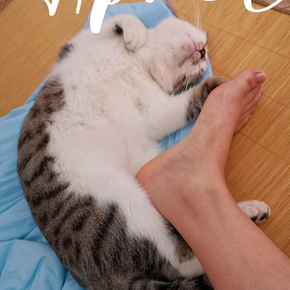小员外👶和漂亮麻麻🙎