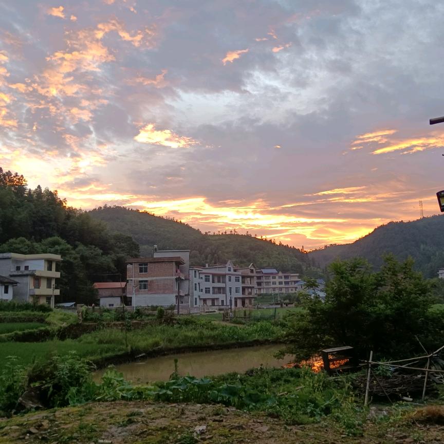 挖土埋岁月