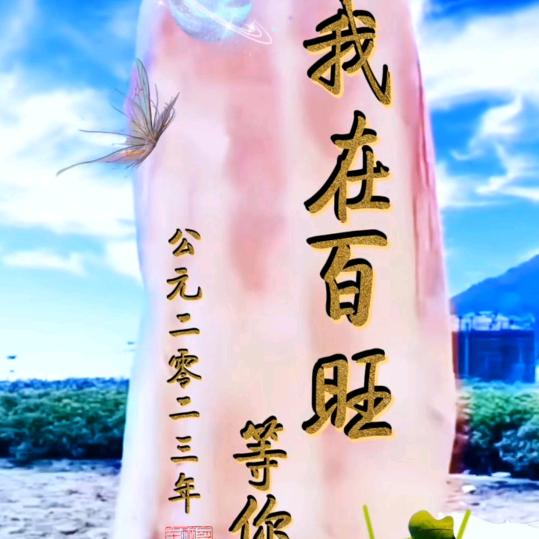 蓝朋友