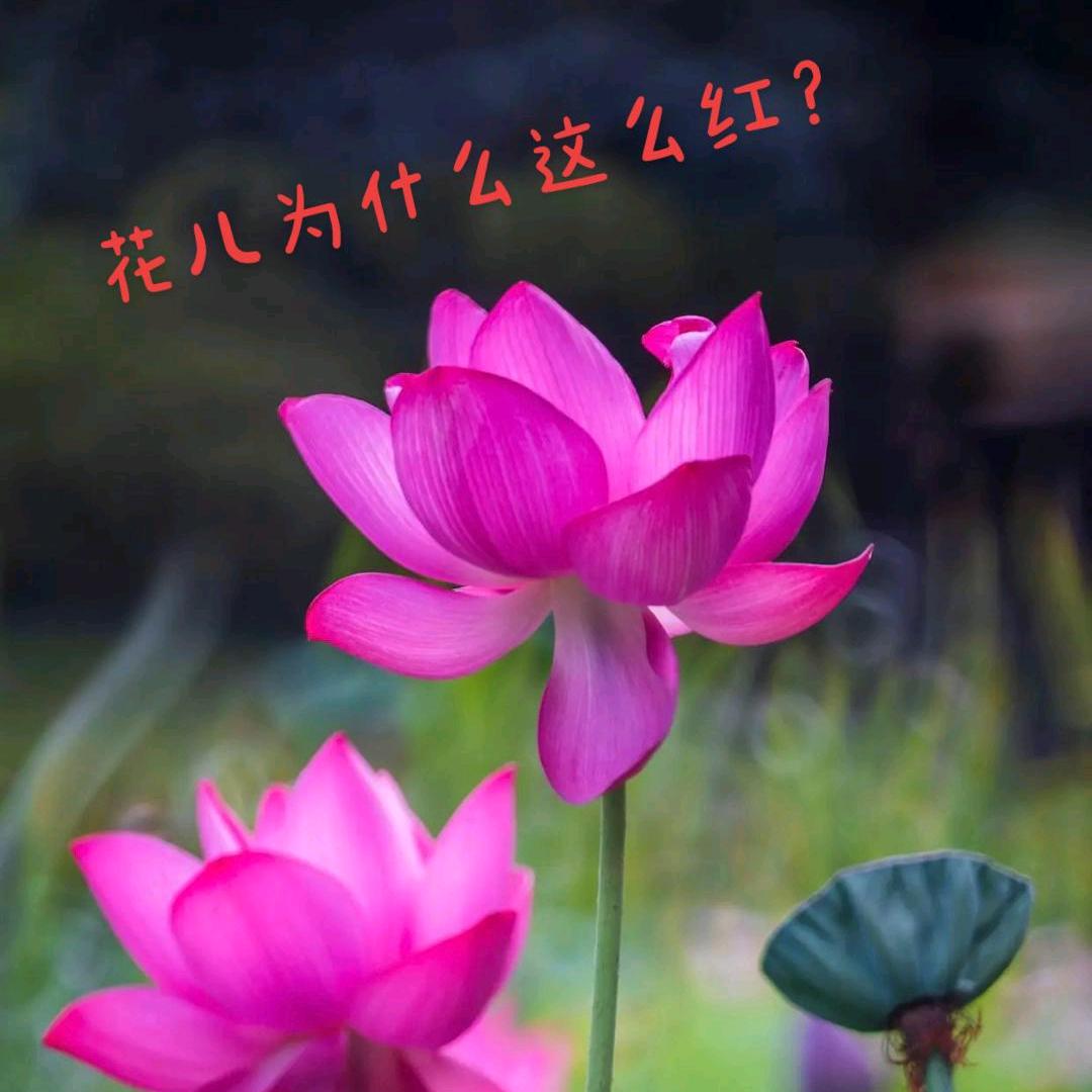 江源