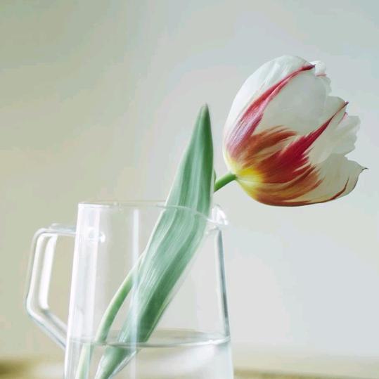 喝水不忘挖井人