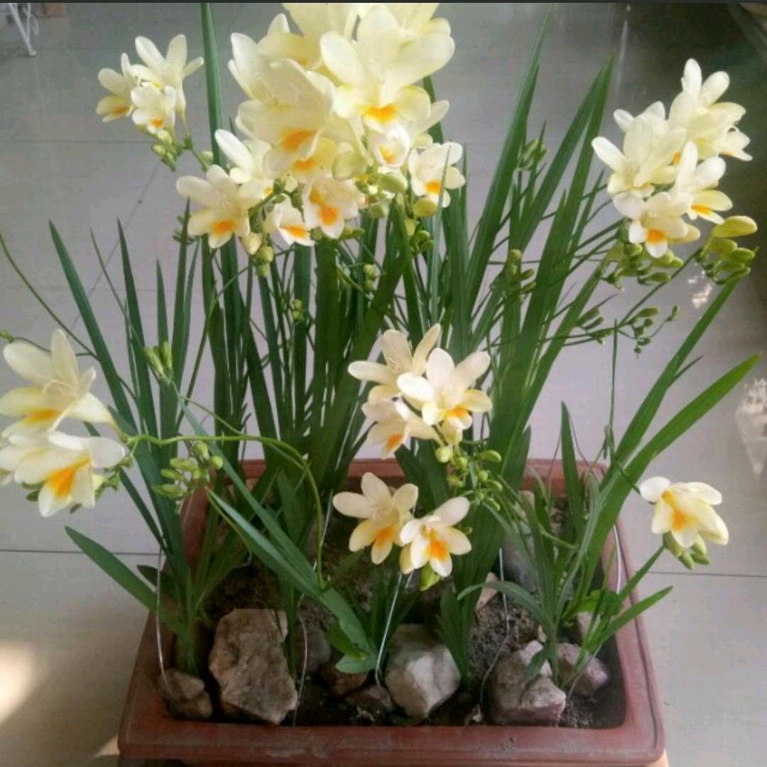 做最好的自己…大伟