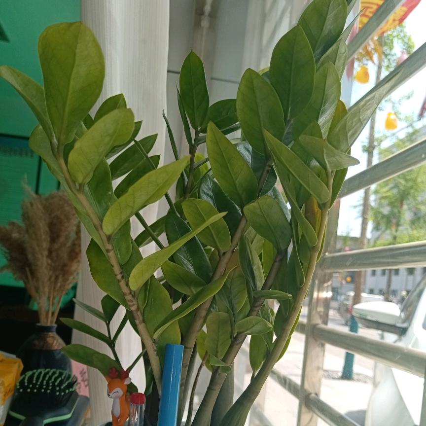 承诺😀