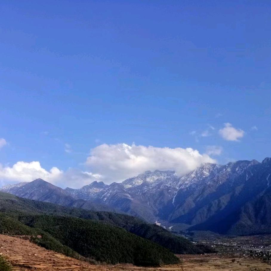 随意8