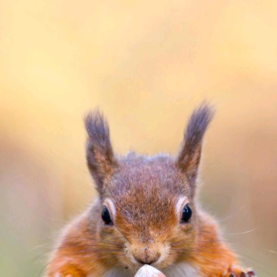 ♥♥独闯天涯♥♥