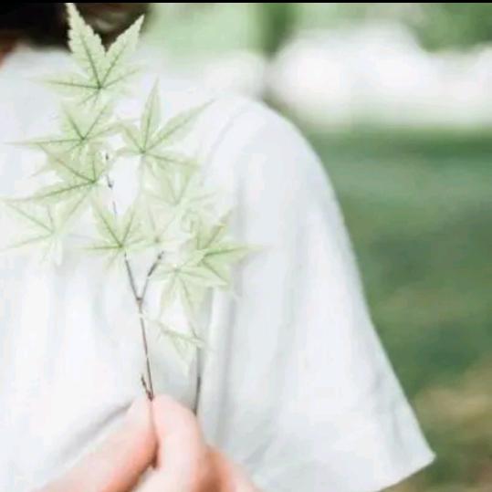 🌼᭄好运ꚸ加满Չᐝ࿐ᩚ