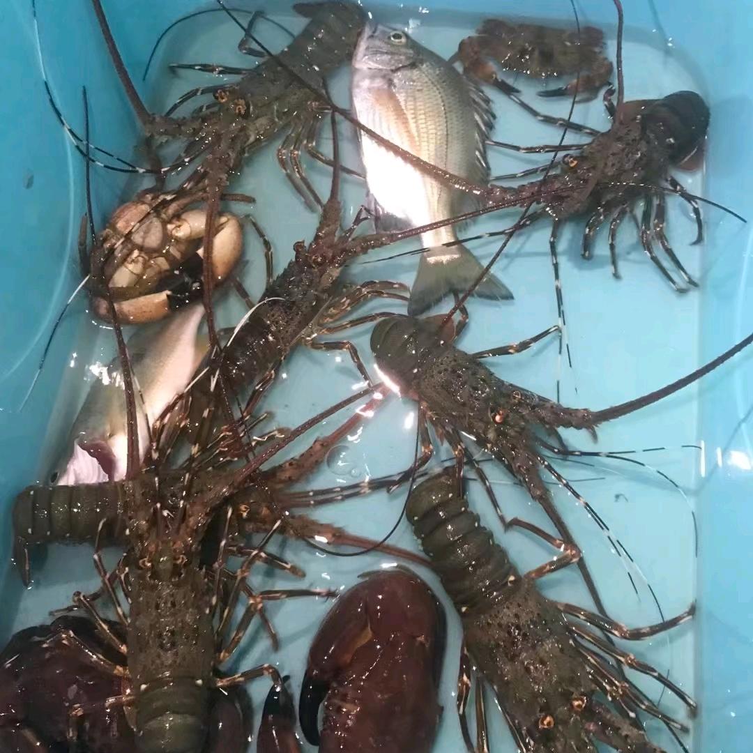 轻亿点