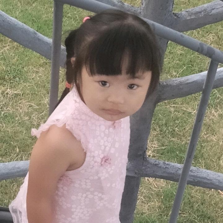 最爱蔷薇