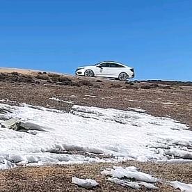 🌴⚡️靓仔⚡️😎