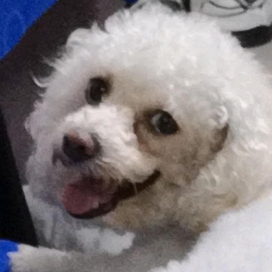 🌈邪恶摇粒绒🌈