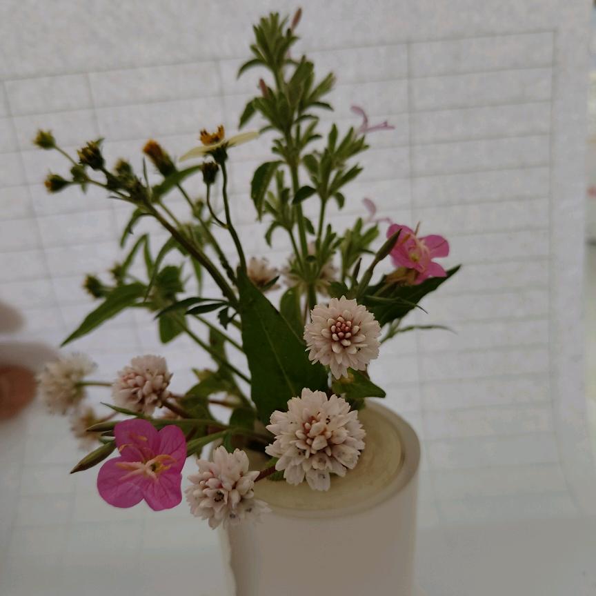 @落落百货铺