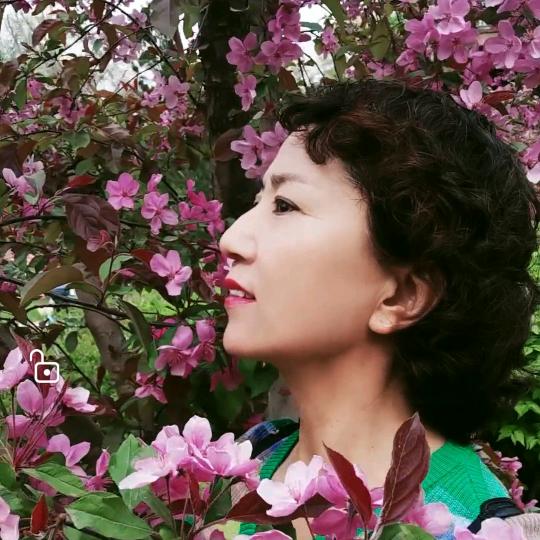 茗阳《63年的兔》