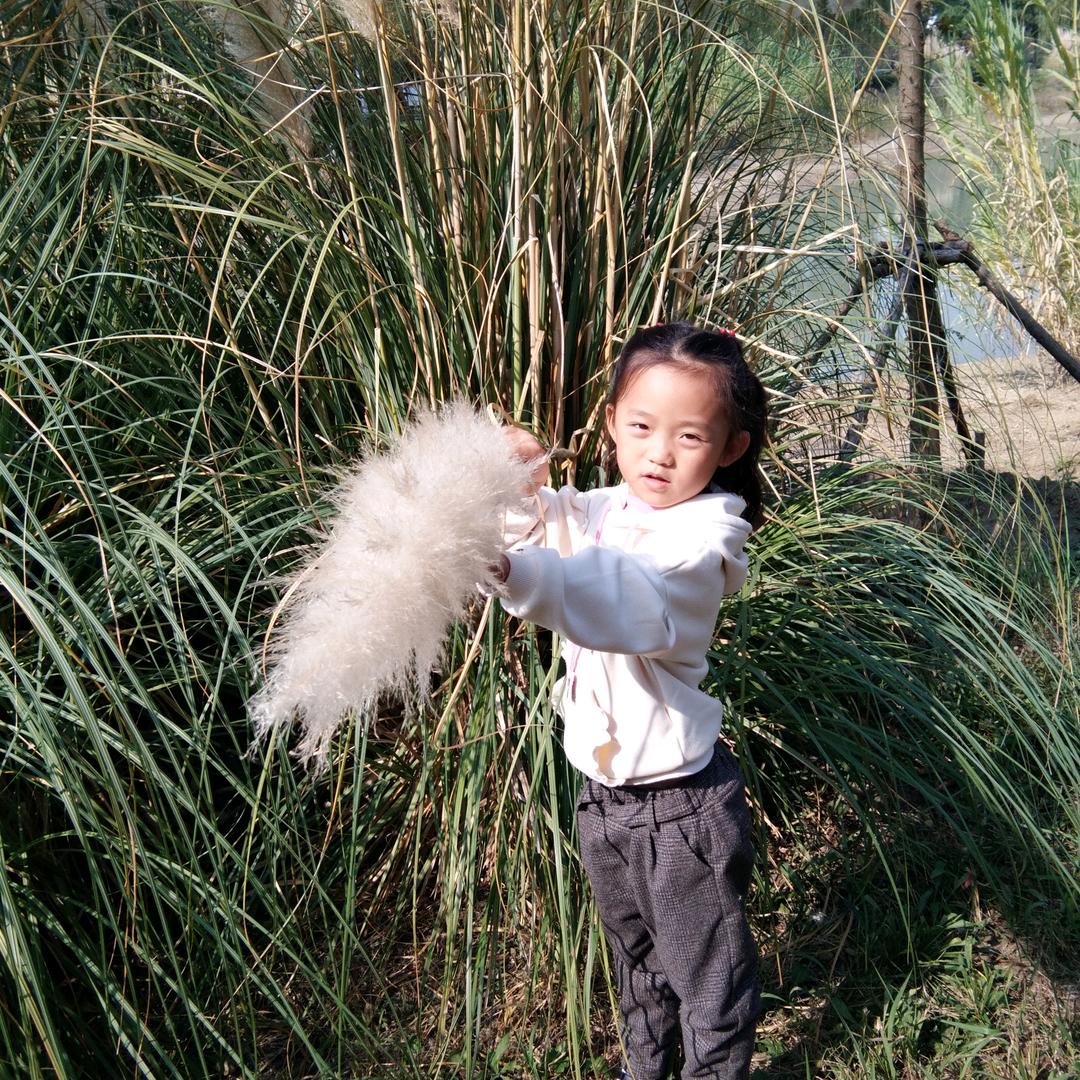 诚信到永久