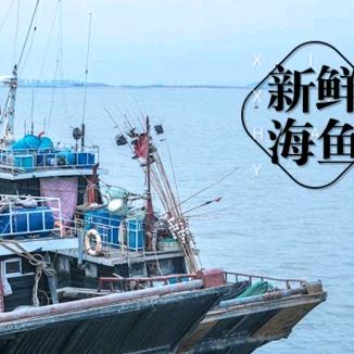 潮唐鱼丸