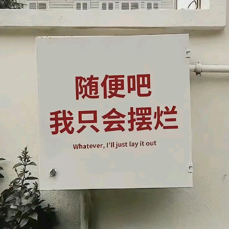 反正我只会摆烂~