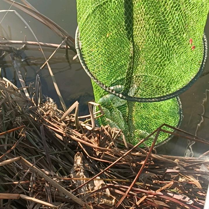 可以失败，不可以放弃。