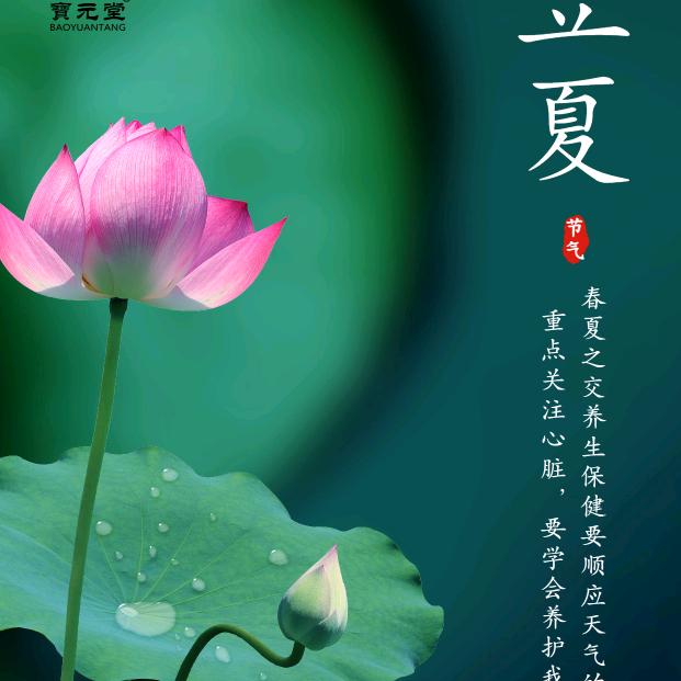 兰韵轻扬