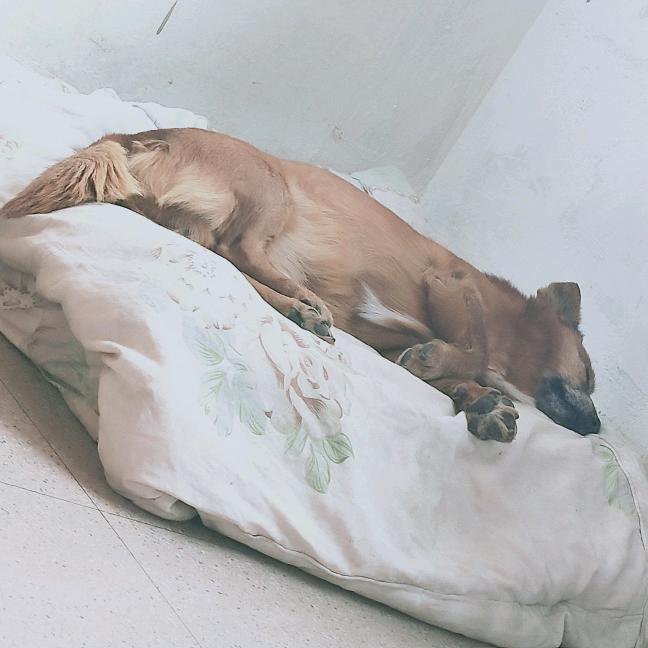 开心快乐每一天！！