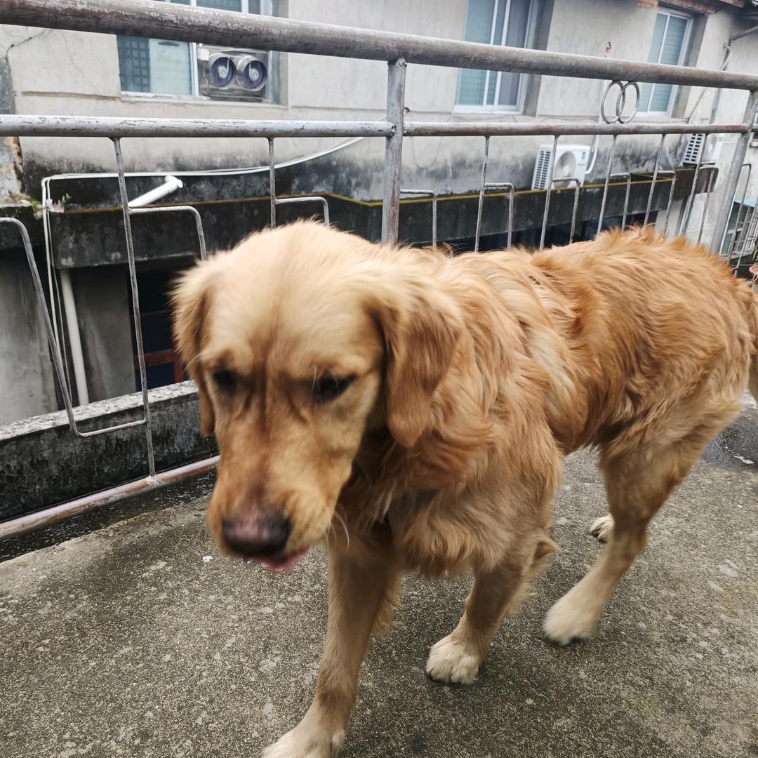 阳光洛克篮球俱乐部