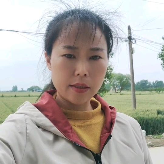 农村陈姐